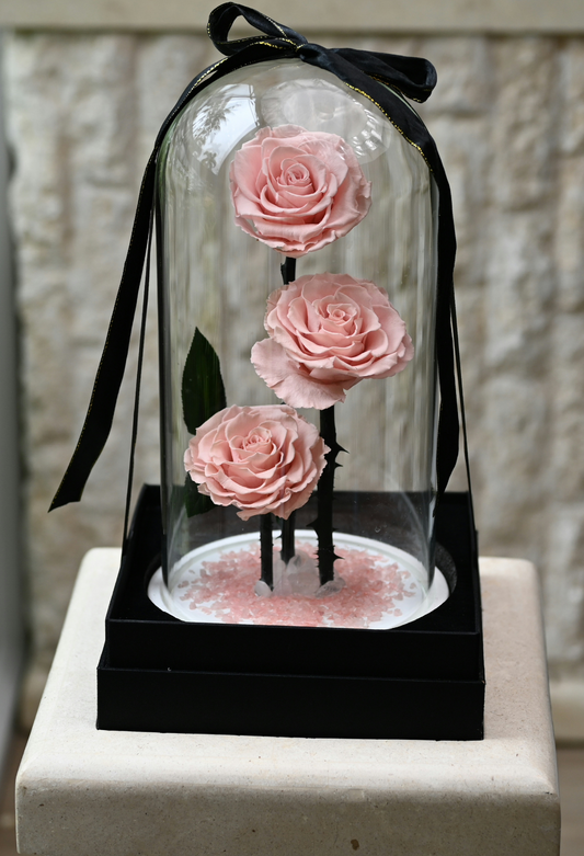 Everlasting Rose Dome With Quartz Crystals - Pink